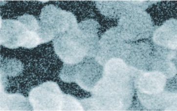 Silica Dioxide (SiO₂)
